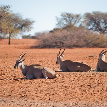 Kalahari Anib Campsite Hardap المظهر الخارجي الصورة